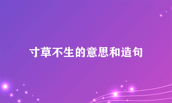 寸草不生的意思和造句