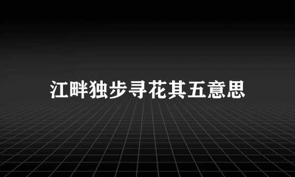 江畔独步寻花其五意思