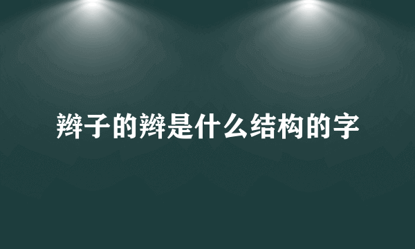 辫子的辫是什么结构的字