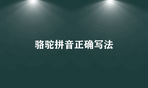 骆驼拼音正确写法