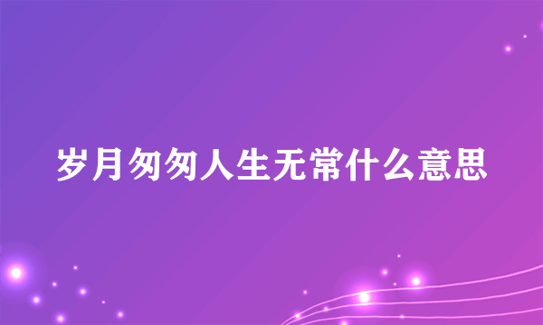 岁月匆匆人生无常什么意思