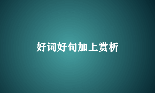 好词好句加上赏析