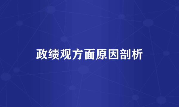 政绩观方面原因剖析