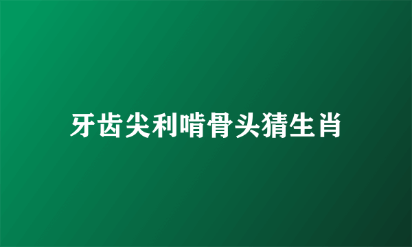 牙齿尖利啃骨头猜生肖