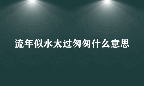 流年似水太过匆匆什么意思