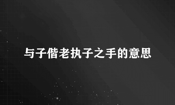 与子偕老执子之手的意思