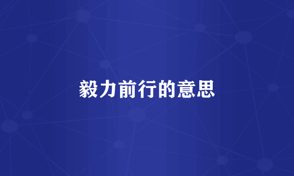 毅力前行的意思