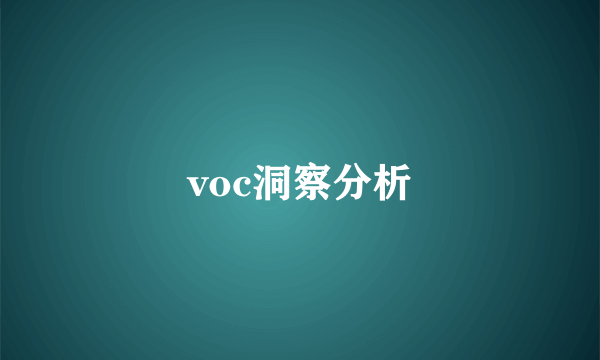 voc洞察分析