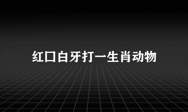红囗白牙打一生肖动物