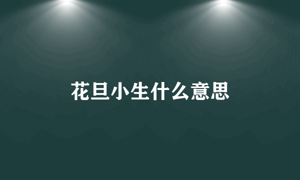 花旦小生什么意思