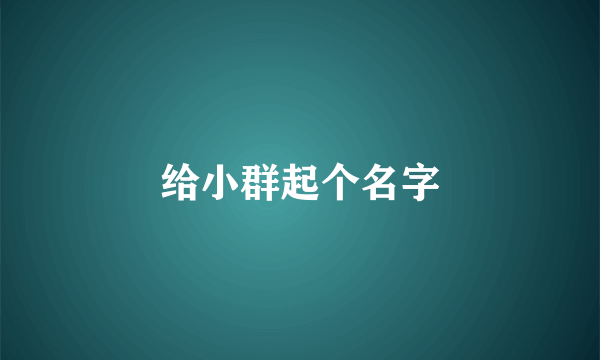给小群起个名字