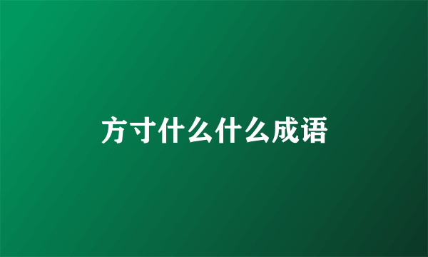 方寸什么什么成语