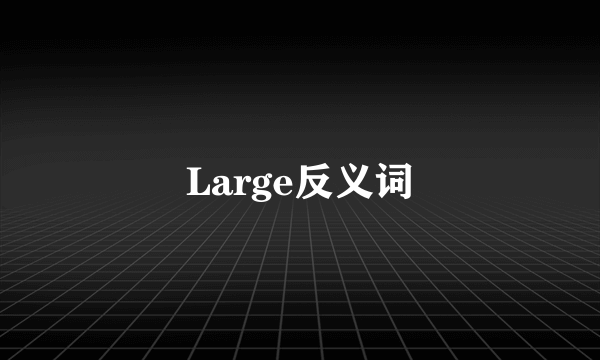 Large反义词