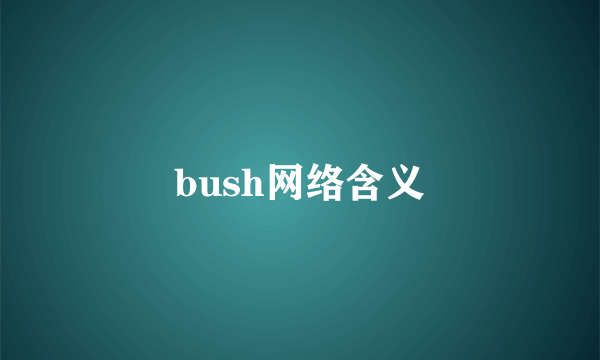 bush网络含义