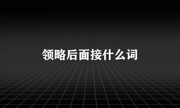 领略后面接什么词