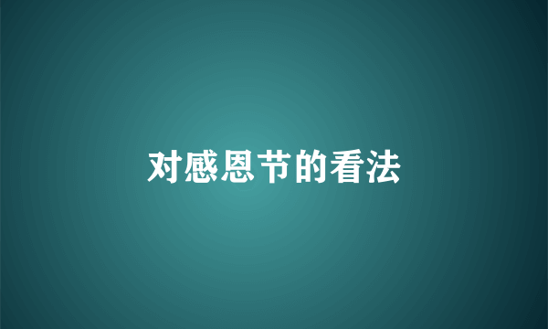 对感恩节的看法