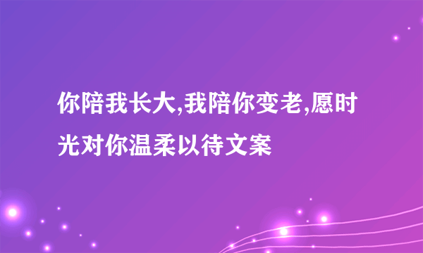 你陪我长大,我陪你变老,愿时光对你温柔以待文案