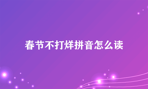 春节不打烊拼音怎么读