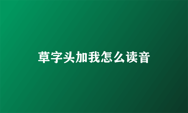 草字头加我怎么读音