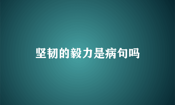 坚韧的毅力是病句吗