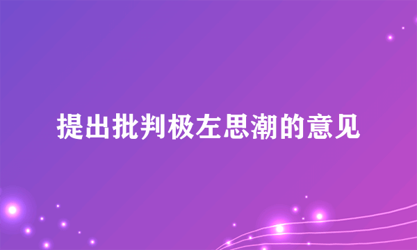 提出批判极左思潮的意见