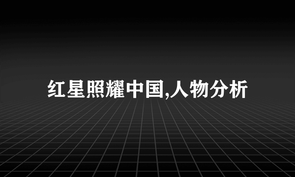 红星照耀中国,人物分析