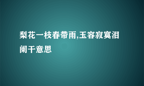 梨花一枝春带雨,玉容寂寞泪阑干意思