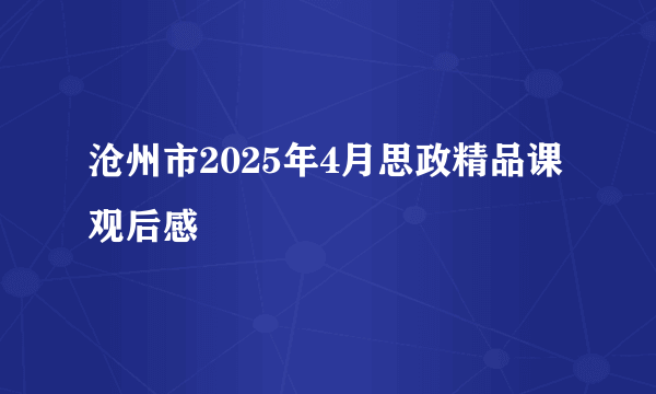 沧州市2025年4月思政精品课观后感