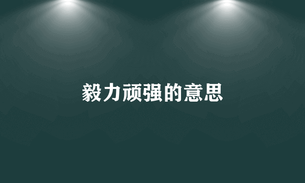 毅力顽强的意思