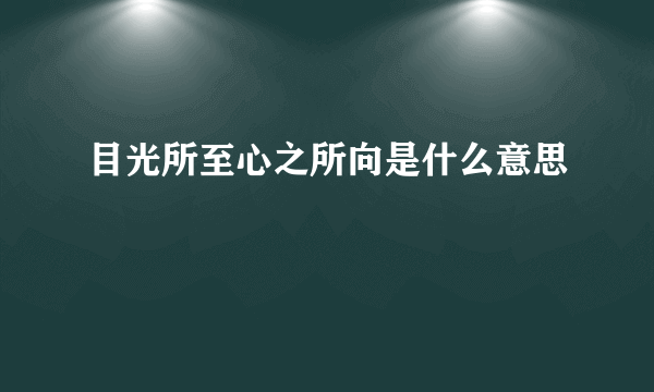 目光所至心之所向是什么意思
