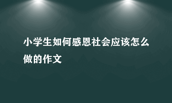 小学生如何感恩社会应该怎么做的作文