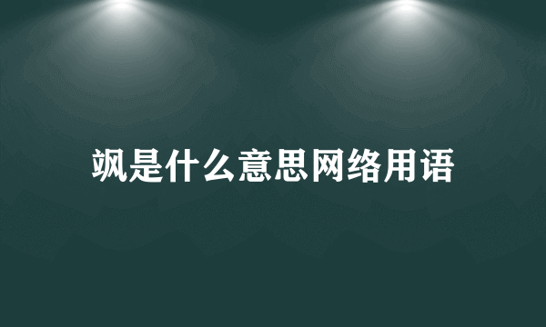 飒是什么意思网络用语