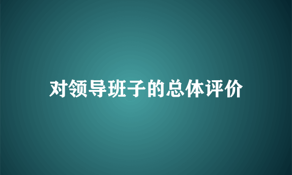 对领导班子的总体评价