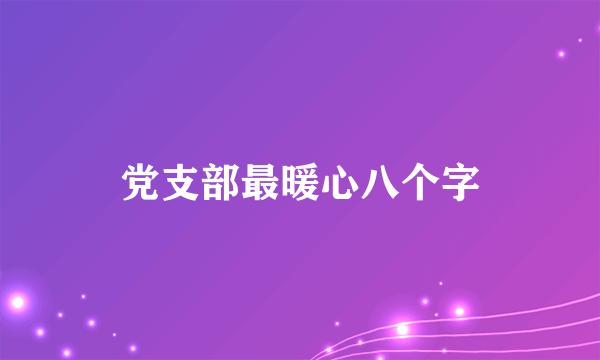 党支部最暖心八个字