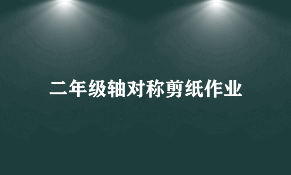 二年级轴对称剪纸作业
