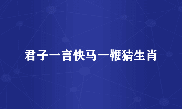 君子一言快马一鞭猜生肖
