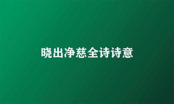 晓出净慈全诗诗意