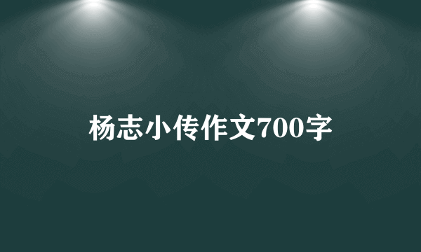 杨志小传作文700字
