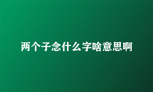 两个子念什么字啥意思啊