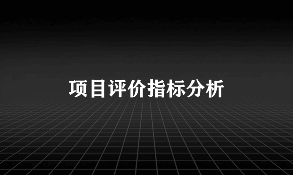 项目评价指标分析