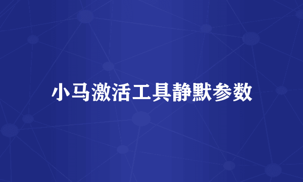 小马激活工具静默参数