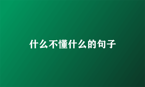 什么不懂什么的句子