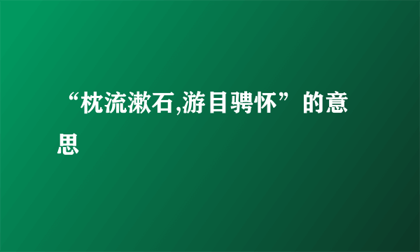 “枕流漱石,游目骋怀”的意思