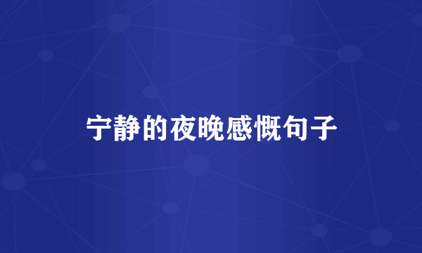 宁静的夜晚感慨句子