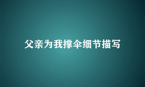 父亲为我撑伞细节描写