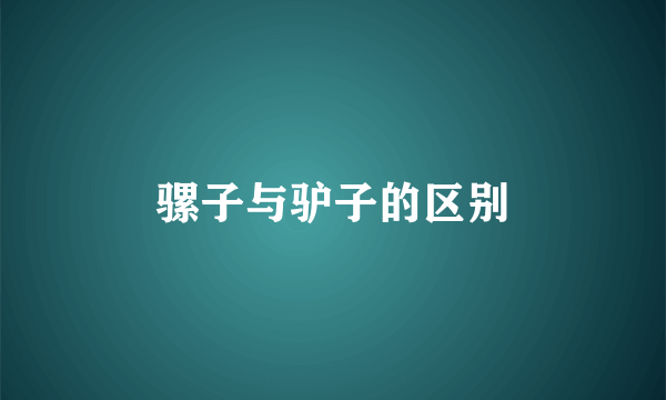 骡子与驴子的区别