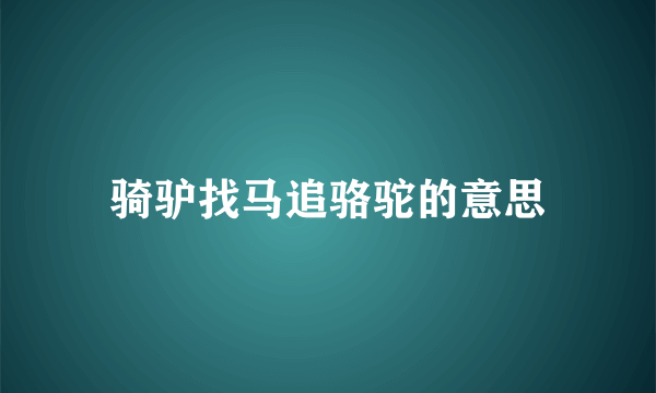 骑驴找马追骆驼的意思