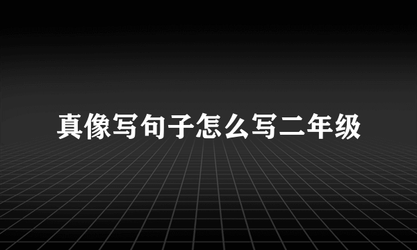真像写句子怎么写二年级
