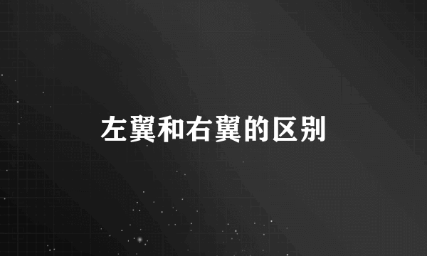 左翼和右翼的区别