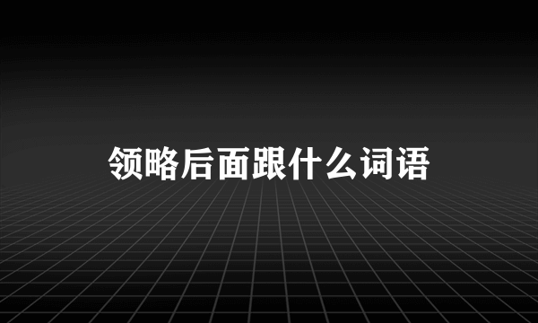 领略后面跟什么词语